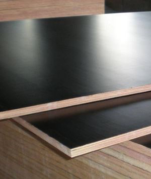 Ván ép phủ phim 12mm